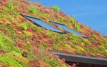 Hargate living roof systems